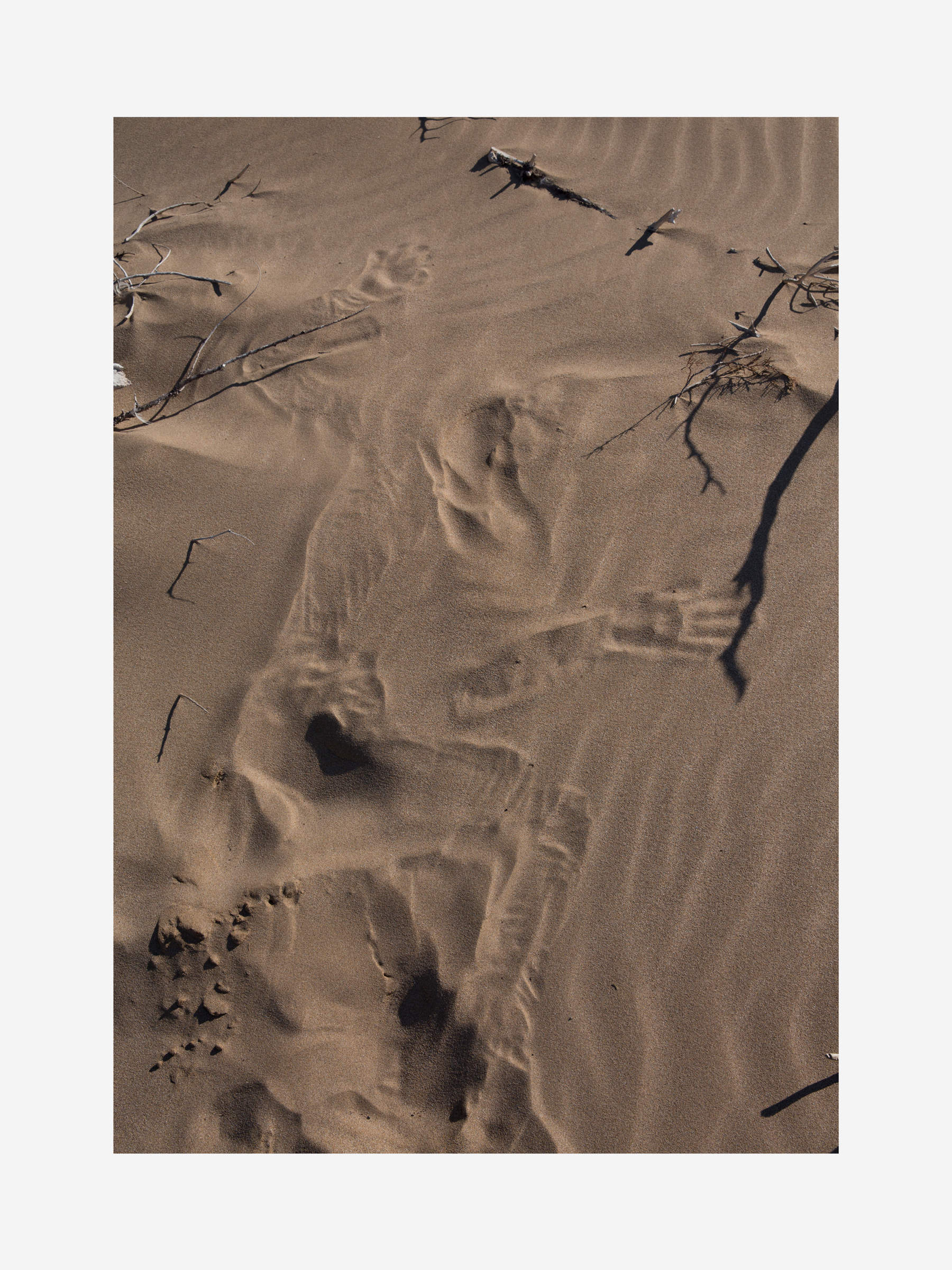 Essaouira Print